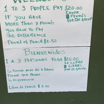 Davis Peach Farm - Pricing Picking Peach Plum - Fruits & Veggies Near Me - Wading River, New York