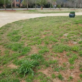TruGreen Lawn Care - Tree Services Near Me - Suwanee, Georgia