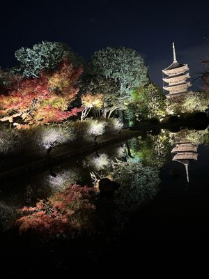 To-ji Temple by null