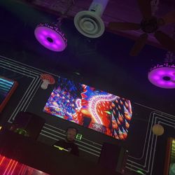 Electric Mushroom