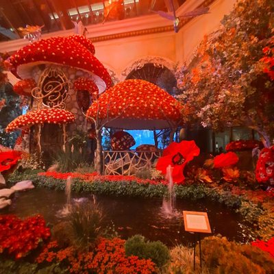 Bellagio Conservatory & Botanical Gardens by null Bellagio Conservatory & Botanical Gardens by null