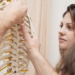Rochester Family Chiropractic - Rochester Family Chiropractic is a Chiropractor serving Rochester Hills, MI
