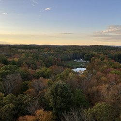 Voyager Balloons - Fall colors!