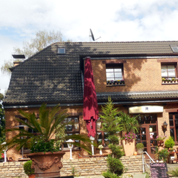 Restaurant Rheingold - Die Terrasse im Nachmittagslicht