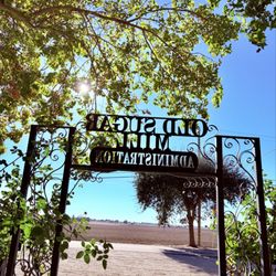 Old Sugar Mill - Winding down in wine country