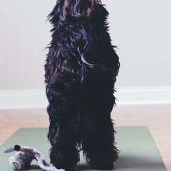 Advanced Holistic Health