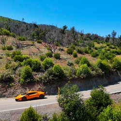 Napa Valley Supercars