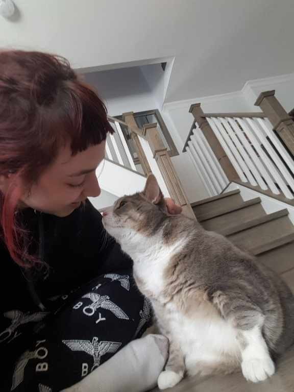 cat sitter north york
