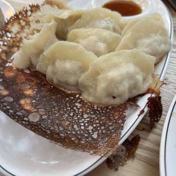One More Bite Dumpling House - pan fried chicken and corn dumplings Very very good. - Shanghainese Near Me - San Marcos, California One More Bite Dumpling House - pan fried chicken and corn dumplings Very very good. - Shanghainese Near Me - San Marcos, California