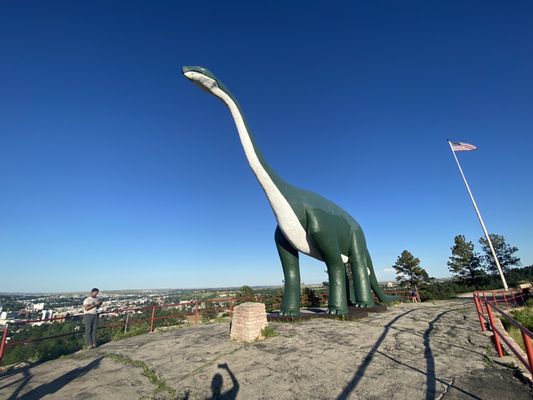 Dinosaur Park by null
