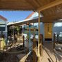 Photo of Kon-Tiki Motel