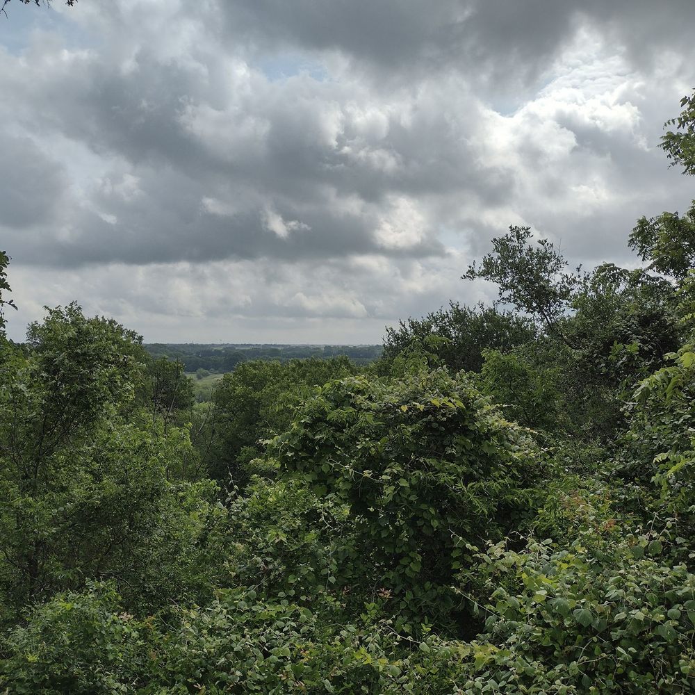 Scenic views