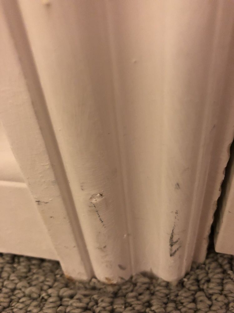 CARPET REMNANTS & RUGS WAREHOUSE 55 Photos & 78 Reviews Carpeting