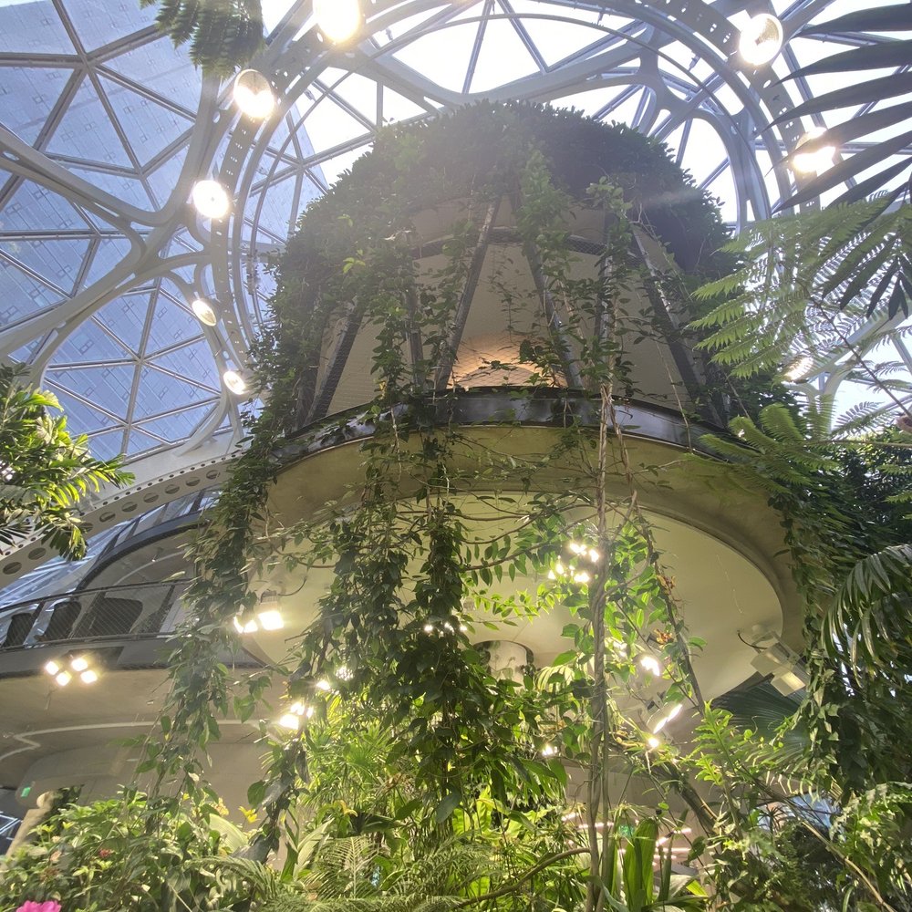 Amazon Spheres - Botanical Gardens Near Me - Seattle, Washington