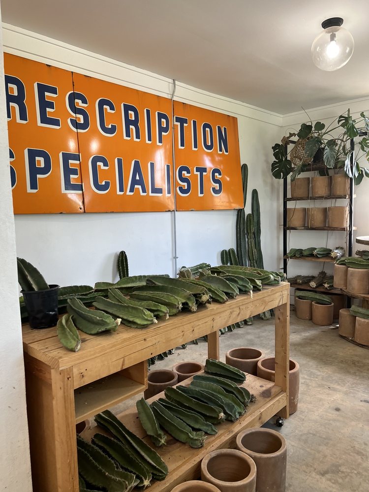 VARNISH + VINE Updated August 2024 10 Photos 1557 St Joseph Ave