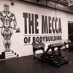 Gold's Gym