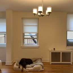 Light filtering shades (partially open) Light filtering shades (partially open)