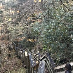Falls at Hills Creek - Stairs to lower falls