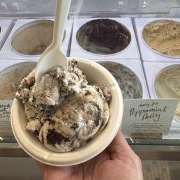 Dairy free peppermint patty ice cream Dairy free peppermint patty ice cream