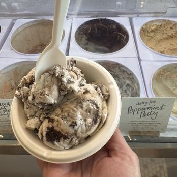 Jeni's Splendid Ice Creams - Dairy free peppermint patty ice cream - Ice Cream & Frozen Yogurt Near Me - Austin, Texas Jeni's Splendid Ice Creams - Dairy free peppermint patty ice cream - Ice Cream & Frozen Yogurt Near Me - Austin, Texas