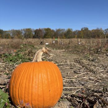Hidden Valley Orchards - Pick Your Own Farms Near Me - Lebanon, Ohio