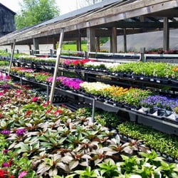 Two Brothers Garden Center