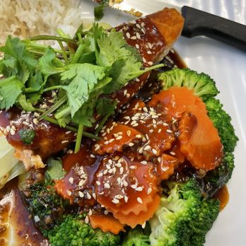 Thai Tanic Cuisine - Salmon Teriyaki With Rice - Thai Near Me - Meriden, Connecticut Thai Tanic Cuisine - Salmon Teriyaki With Rice - Thai Near Me - Meriden, Connecticut