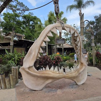 Typhoon Lagoon Surf Pool - photo op - Water Parks Near Me - Orlando, Florida