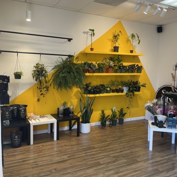 Sac City Stems - Sac City Plant wall - Nurseries & Gardening Near Me - Sacramento, California