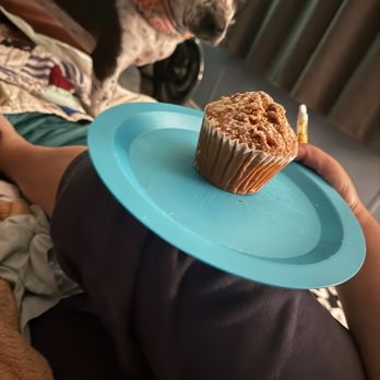Coffee Up Roastery - Muffin - Pumpkin Pecan Streusel our dog was hoping for a bite - Coffee & Tea Near Me - Fullerton, California