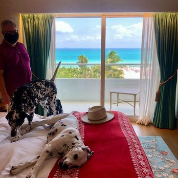 Faena Hotel Miami Beach - Suite - Hotels Near Me - Miami Beach, Florida