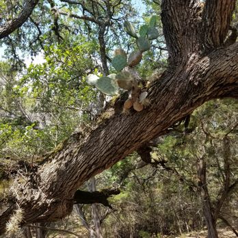 Honey Creek State Natural Area - Parks Near Me - Spring Branch, Texas Honey Creek State Natural Area - Parks Near Me - Spring Branch, Texas