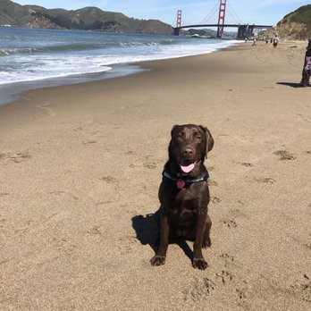 Baker Beach - Parks Near Me - San Francisco, California Baker Beach - Parks Near Me - San Francisco, California