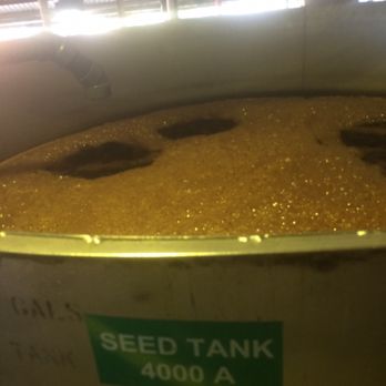 Cruzan Rum Distillery - Fermenting tanks - Tours Near Me - St Croix, Virgin Islands