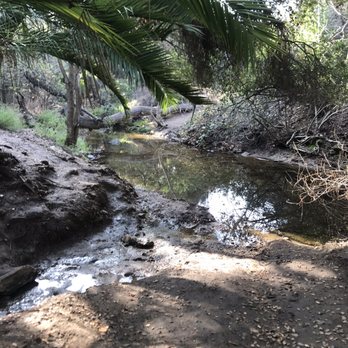 Michael D. Antonovich Trail - kind of flooded, bring water-proof shoes - Hiking Near Me - San Dimas, California Michael D. Antonovich Trail - kind of flooded, bring water-proof shoes - Hiking Near Me - San Dimas, California