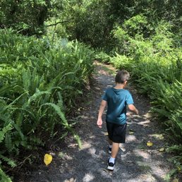Tall grasses Tall grasses