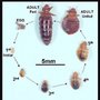 Photo of Newberry Pest Control