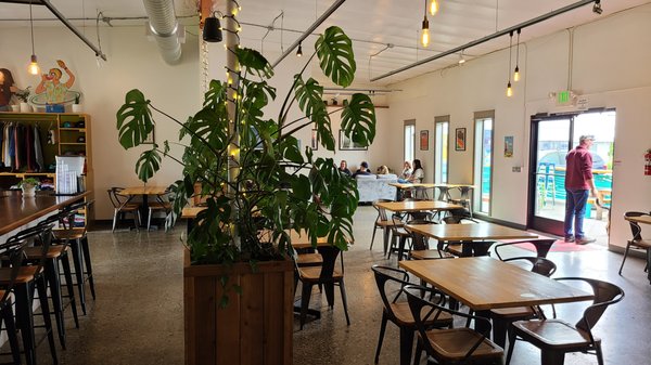 Stemma Brewing Company by null
