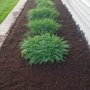 Photo of Allied Landscaping