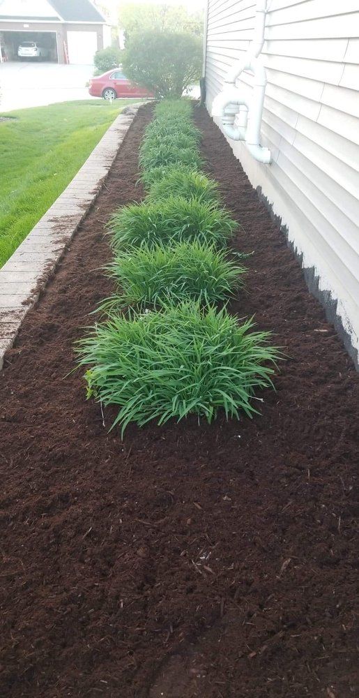 ALLIED LANDSCAPING Updated July 2024 3197 S Chicago St, Joliet