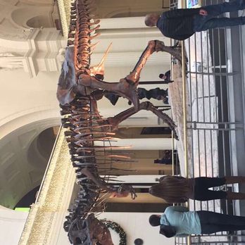 Field Museum - Museums Near Me - Chicago, Illinois Field Museum - Museums Near Me - Chicago, Illinois