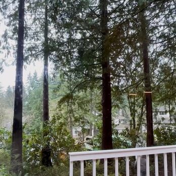 Better View Tree Service - Tree Services Near Me