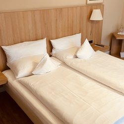 Hotel Schepers