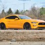 Photo of Modify My Stang