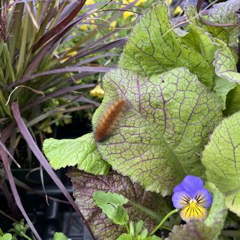 The Farmer's Daughter - Nurseries & Gardening Near Me - Wakefield, Rhode Island
