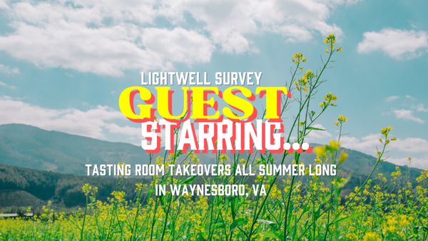 Lightwell Survey Wines by null