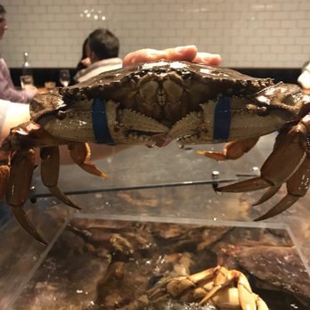 Taylor Shellfish Farms - Seafood Near Me - Seattle, Washington Taylor Shellfish Farms - Seafood Near Me - Seattle, Washington