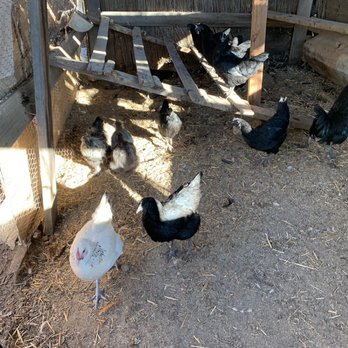 OwlBee Farm - Campgrounds Near Me - Hemet, California