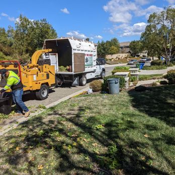Roger's Tree Service - Tree Services Near Me Roger's Tree Service - Tree Services Near Me