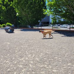 Hondo Dog Park